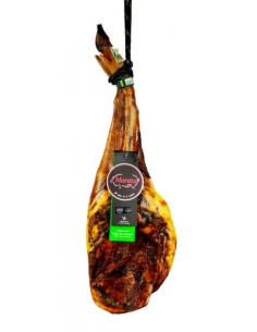 Paletilla Ibérica de cebo campo Extremadura Morato