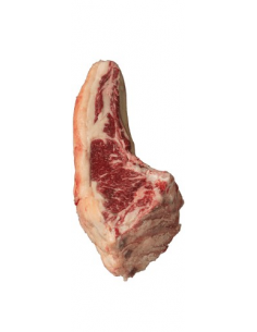 TXULETON EUROPEO PREMIUM...