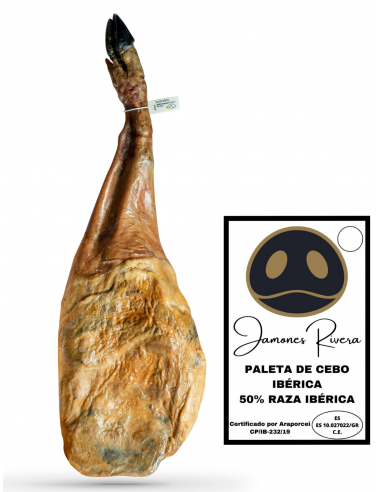 Paleta de Cebo Ibérica 50% raza ibérica Jamones Rivera
