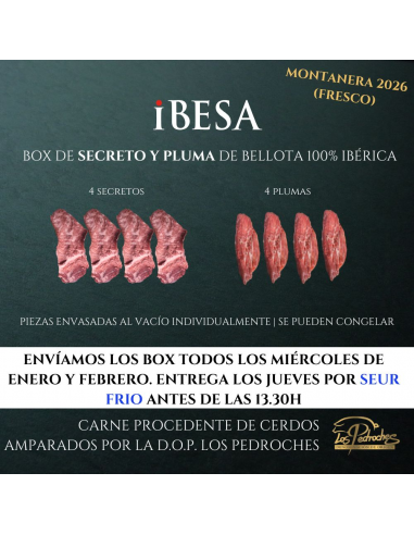 Box de pluma y secreto de bellota...